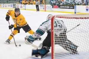 Ice raiders move to reno – Mountain West Hockey League