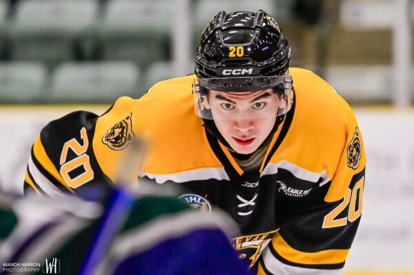 Bruins’ Ringor commits to York University